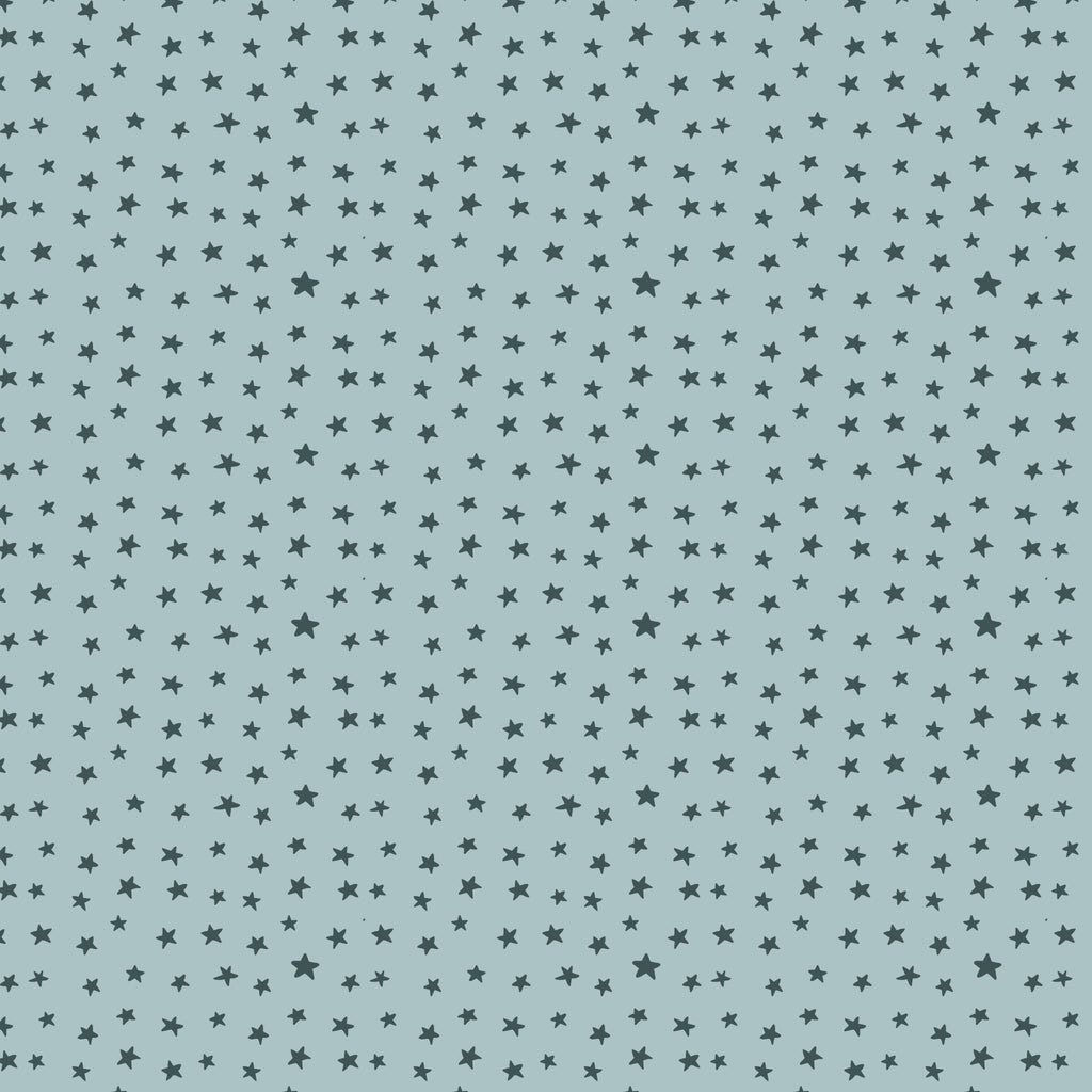 PRE-ORDER - Super Stars in Blue - Touchdowns & Tailwags - Cloud9 Fabric - Quilting Fabric by the Yard