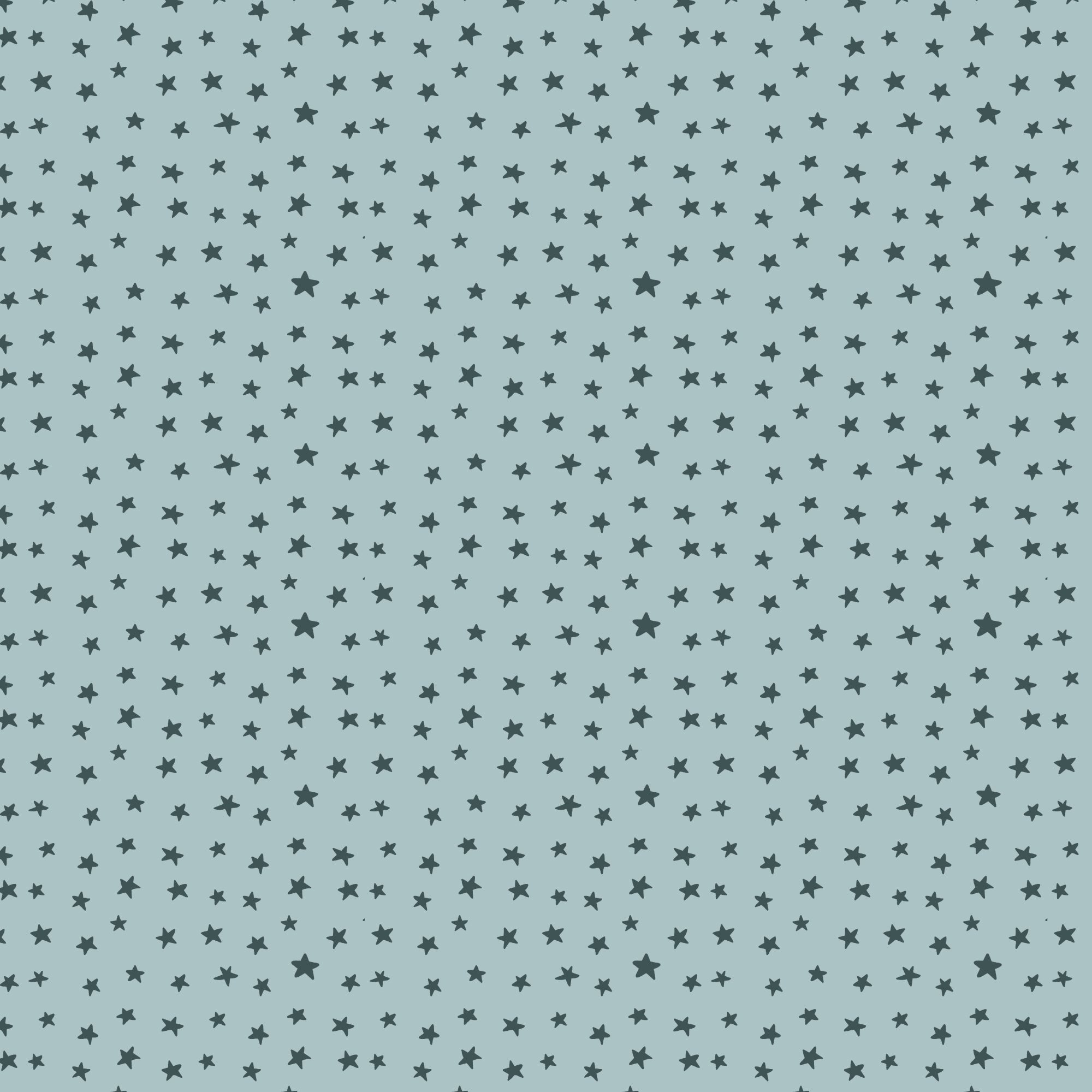 PRE-ORDER - Super Stars in Blue - Touchdowns & Tailwags - Cloud9 Fabric - Quilting Fabric by the Yard