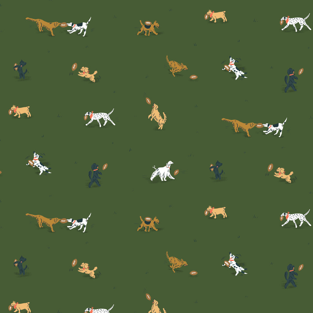 PRE-ORDER - Playing Field in Green - Touchdowns & Tailwags - Cloud9 Fabric - Quilting Fabric by the Yard