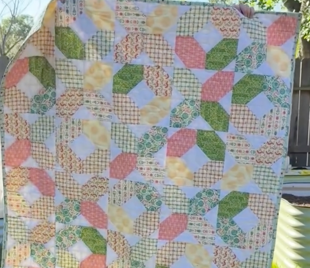 Love Bugs Quilt Fabric Bundle - Included Hugs & Kisses pattern by Cloud9 Fabrics