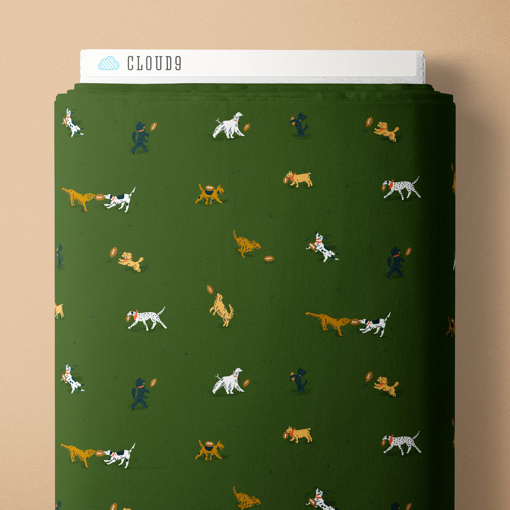 PRE-ORDER - Playing Field in Green - Touchdowns & Tailwags - Cloud9 Fabric - Quilting Fabric by the Yard